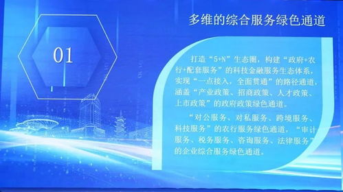 科技金融雙向賦能新篇章 信息技術(shù)咨詢服務(wù)在對接會上的核心價值